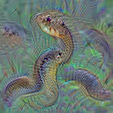 n01748264